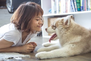 Happy dog and owner